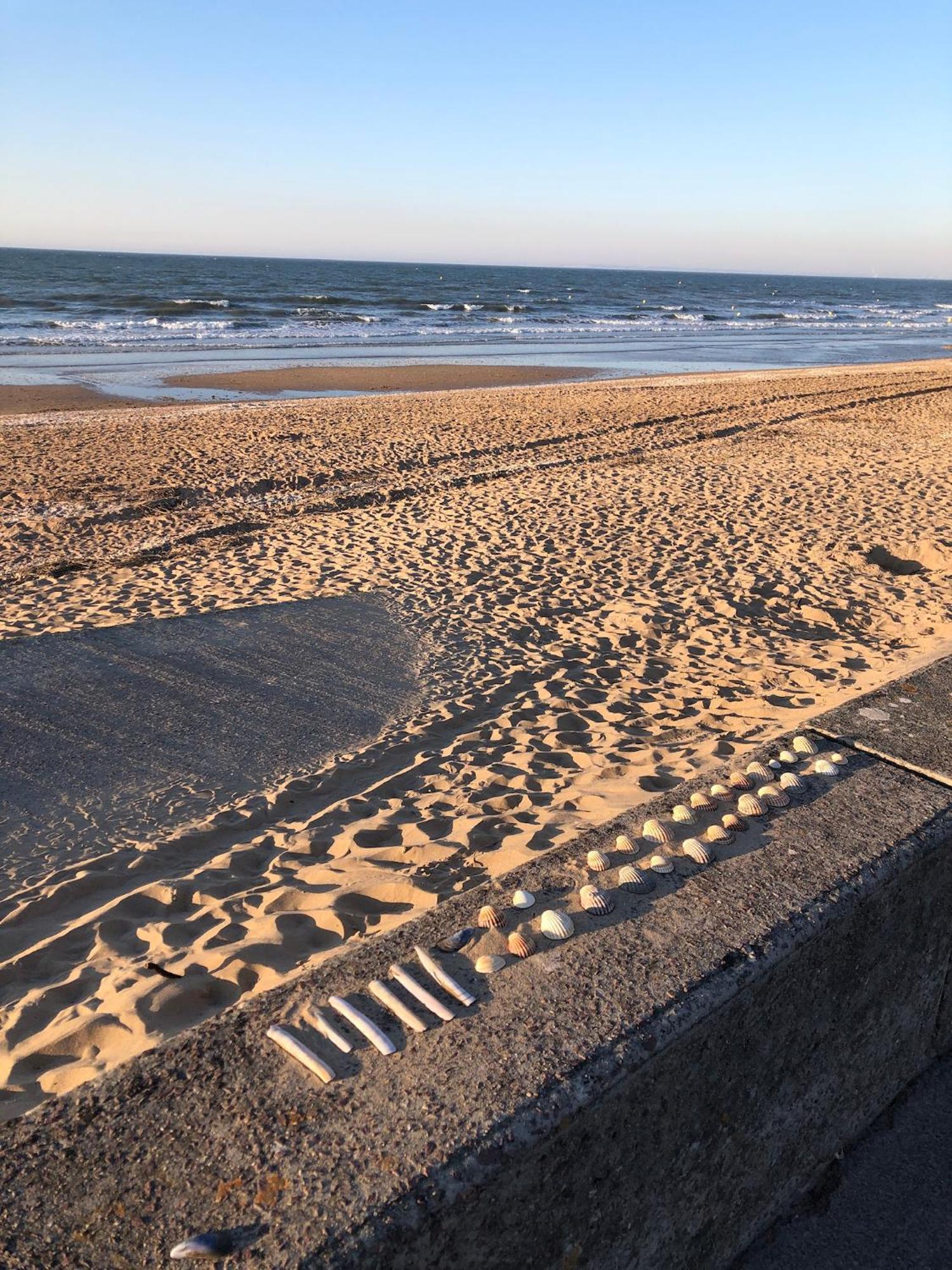 Le Petit Navire - Acces Direct Plage กาบูร์ก ภายนอก รูปภาพ